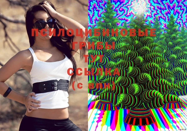 прущая мука Армянск