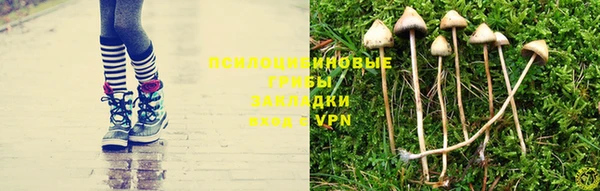каннабис Алексин
