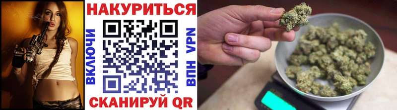 hydra как войти  Дорогобуж  Шишки марихуана тримм 